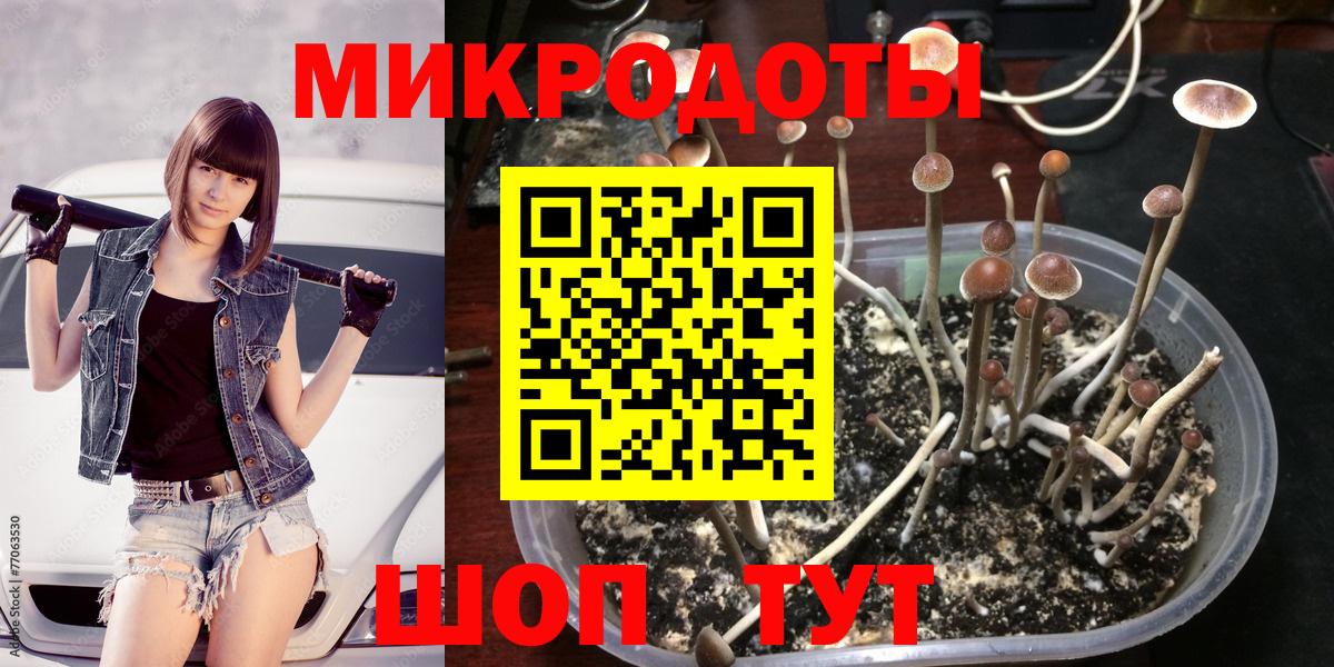 Усолье-Сибирское  Псилоцибиновые грибы Psilocybe  Псилоцибиновые грибы GOLDEN TEACHER  Вход с VPN 